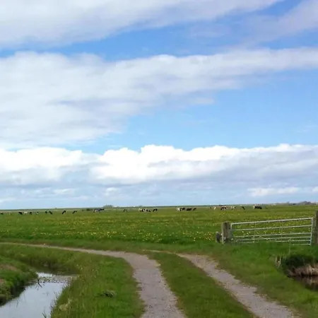 Near Schoorl Dunes, Cleaning Included * خروت